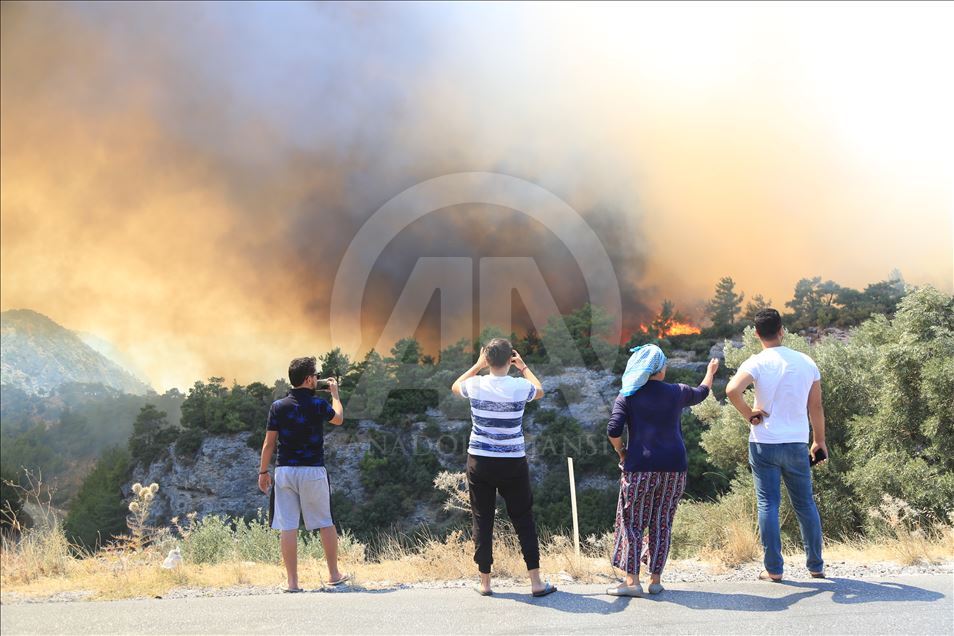 Muğla'da orman yangını