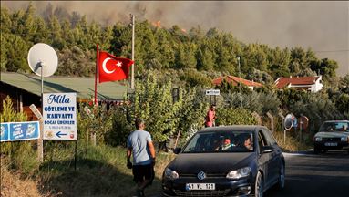 Ege'de orman yangınları