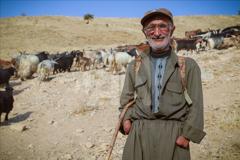 چیرۆكی ژیانی شوانێكی خاوەن پێداویستی تایبەت