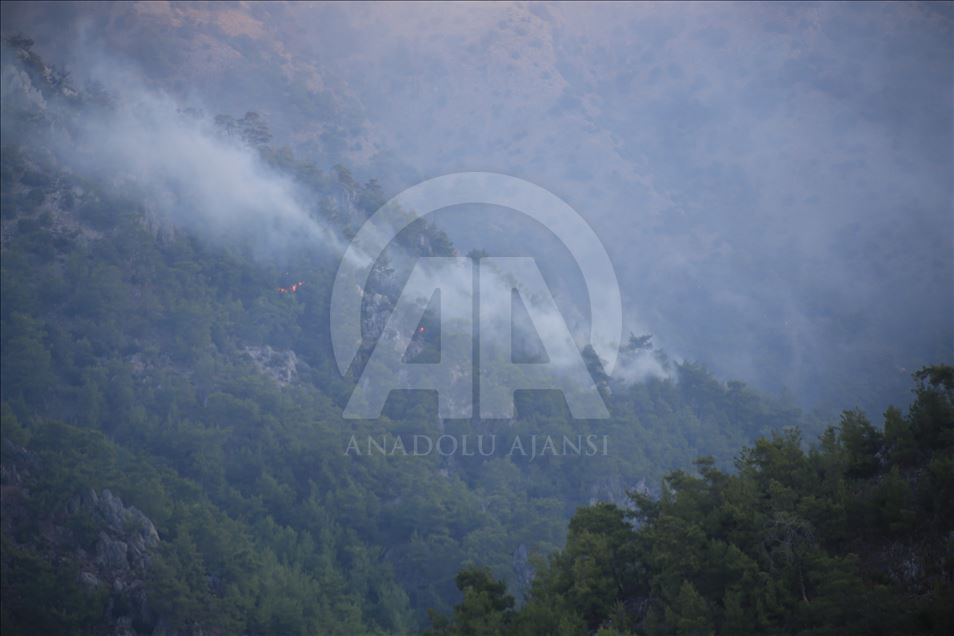 Muğla'daki orman yangınları kısmen kontrol altına alındı