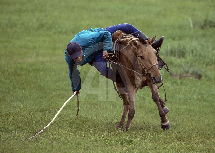 کودکان مغول در 4 سالگی سوارکاری می آموزند