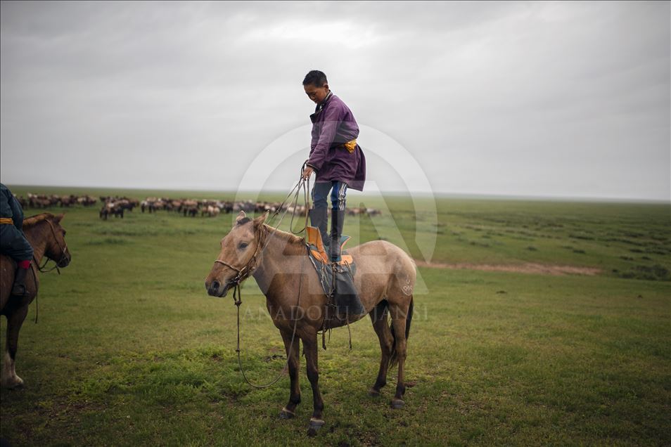 کودکان مغول در 4 سالگی سوارکاری می آموزند