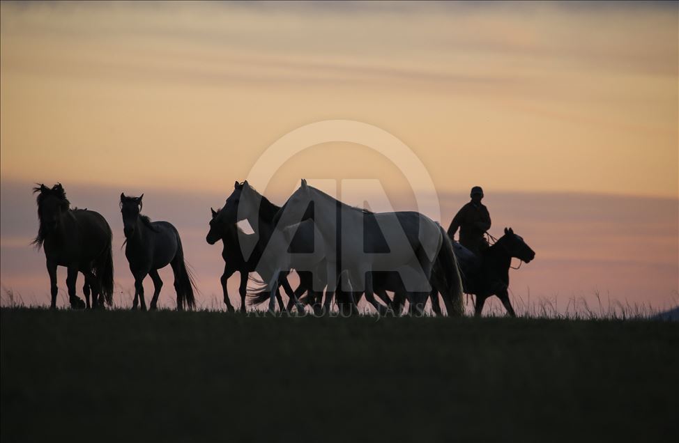 کودکان مغول در 4 سالگی سوارکاری می آموزند