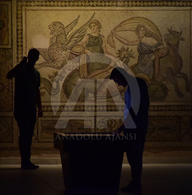Zeugma Mozaik Müzesi'ne ziyaretçi ilgisi