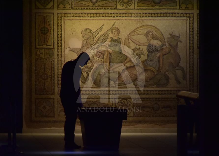 Zeugma Mozaik Müzesi'ne ziyaretçi ilgisi