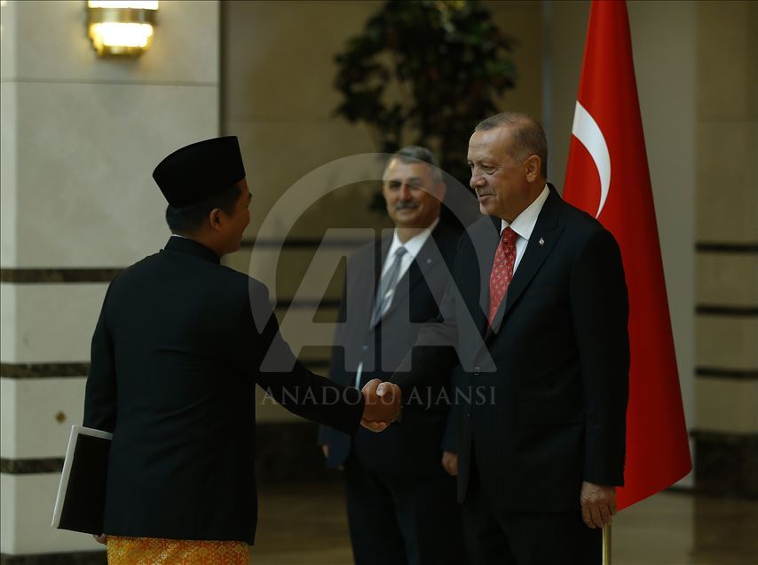 Cumhurbaşkanı Erdoğan'ın kabulü