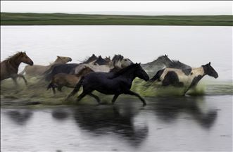 Mongolia: El país de los caballos