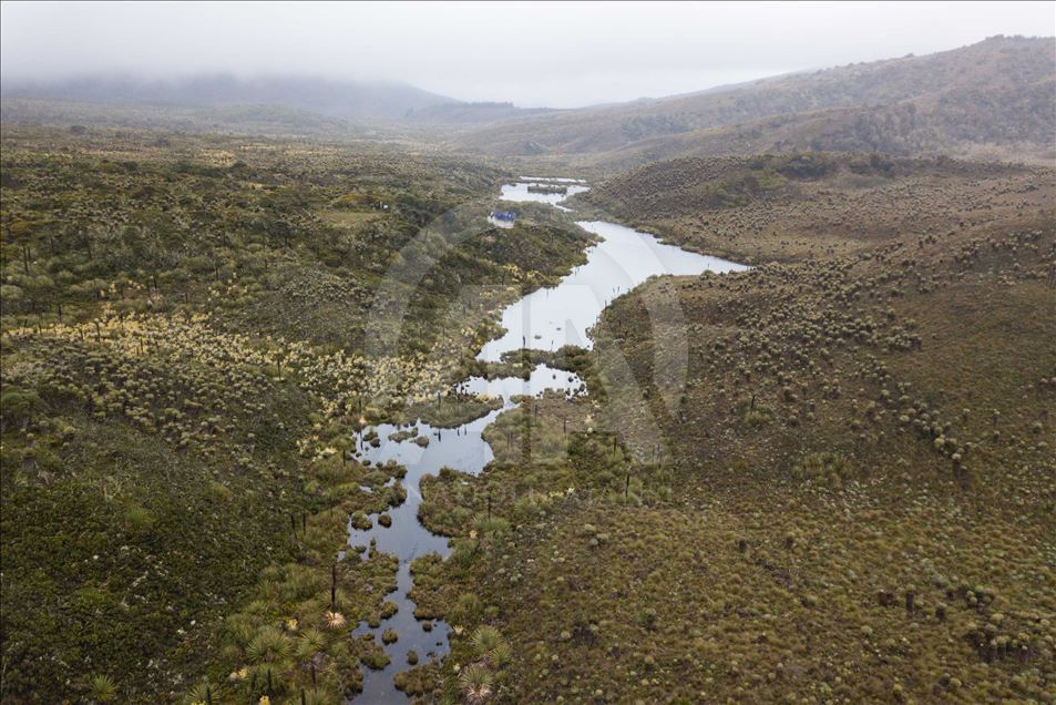 La naturaleza en el páramo de Guacheneque