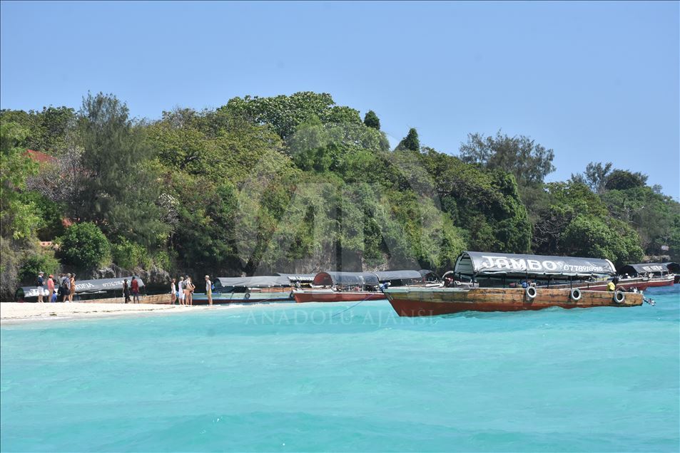 جزيرة تشانغو التنزانية.. مقصد السياح لمشاهدة سلاحف معمرة
