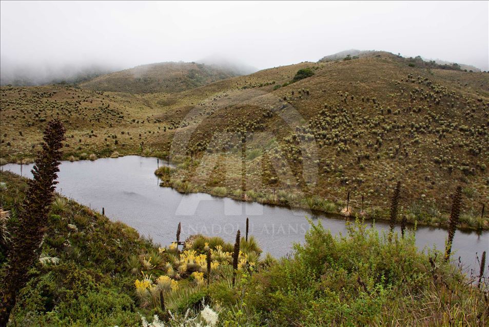 La naturaleza en el páramo de Guacheneque