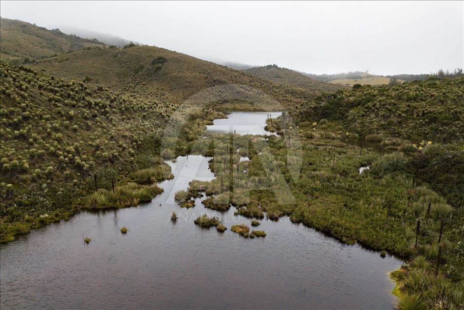 La naturaleza en el páramo de Guacheneque