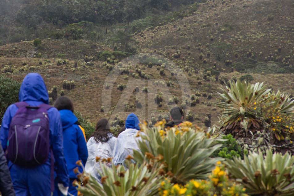 La naturaleza en el páramo de Guacheneque