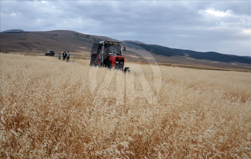 Ji ber germahiyê bi şev dixebitin