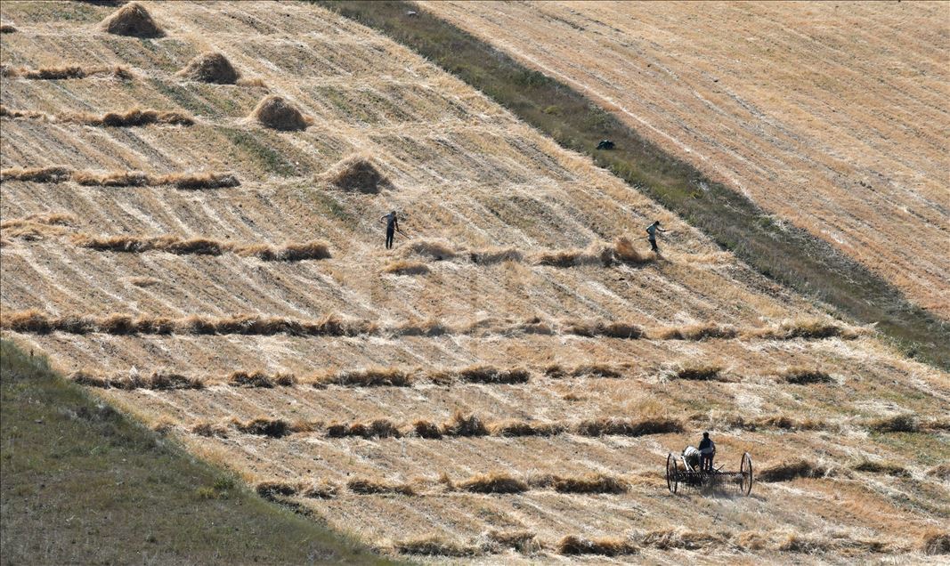Ji ber germahiyê bi şev dixebitin