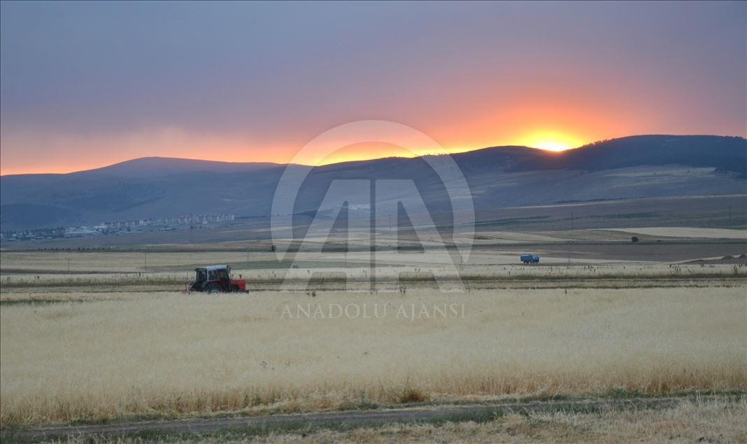 Ji ber germahiyê bi şev dixebitin