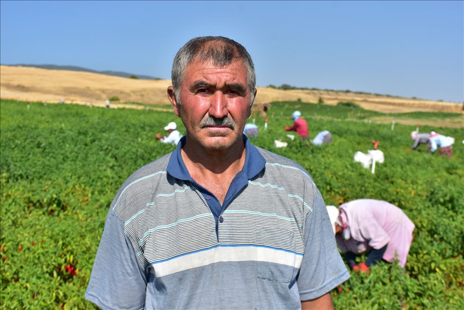 تركيا.. الفلفل الحار من عاصمة المثلجات
