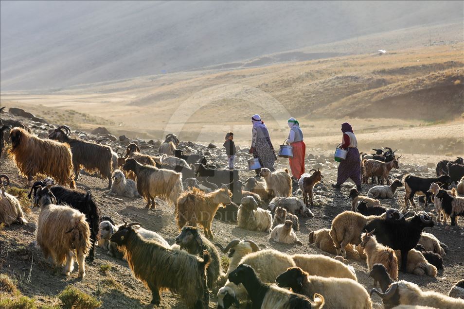 تصاویری از ییلاقهای استان وان ترکیه