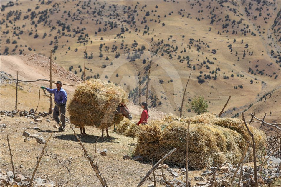 تصاویری از ییلاقهای استان وان ترکیه