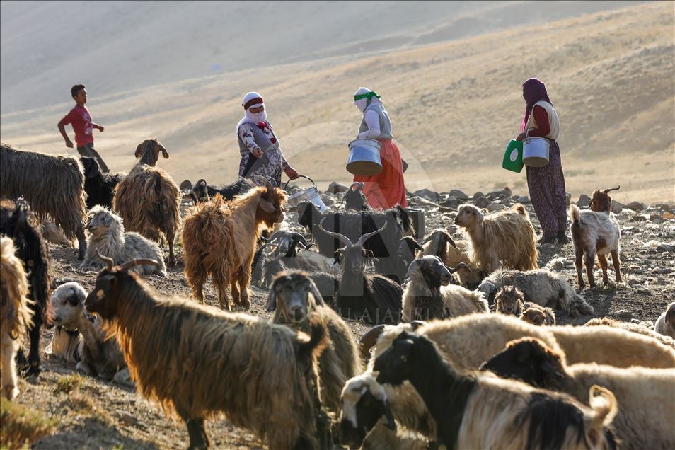 تصاویری از ییلاقهای استان وان ترکیه