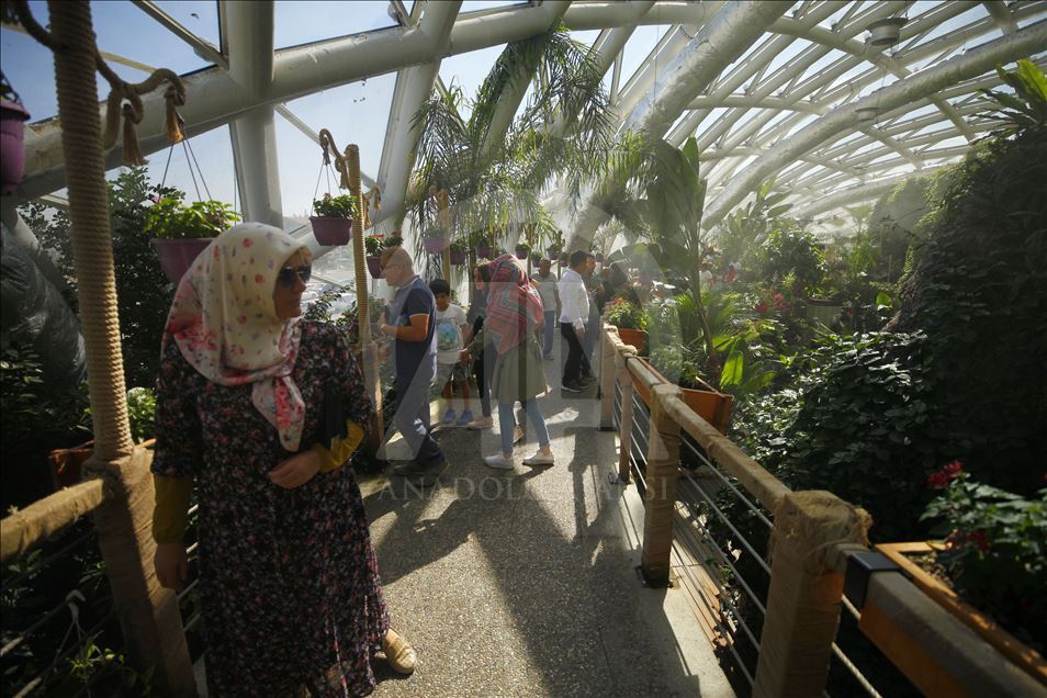باغ پروانه‌های گرمسیری قونیه ترکیه؛ تجلی رویا
