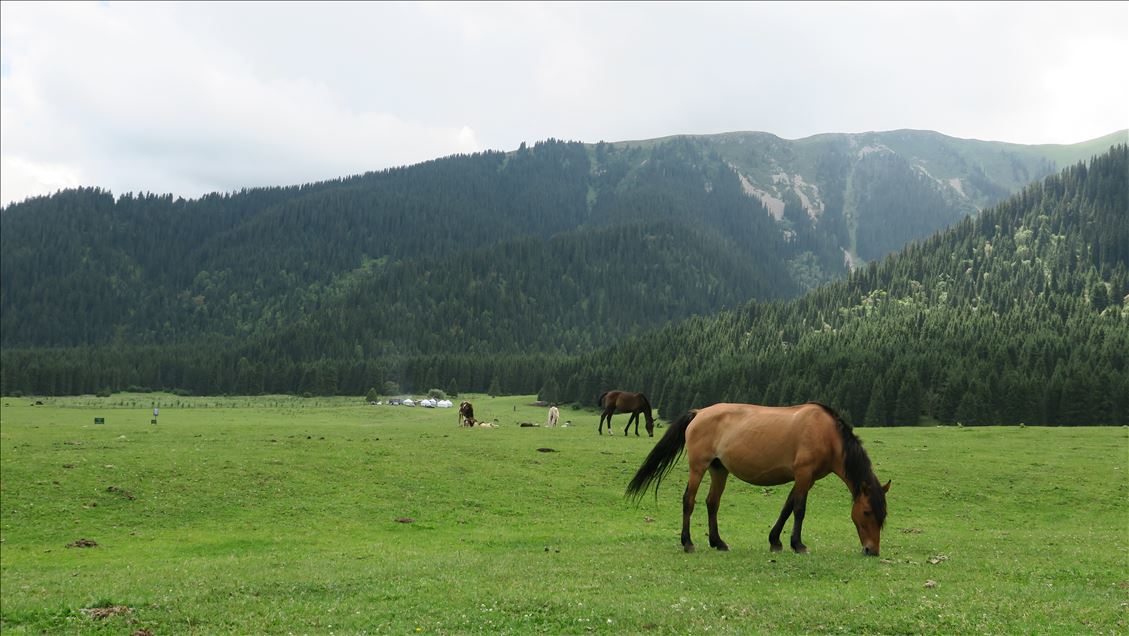Достопримечательности Кыргызстана: Ущелье семи быков 