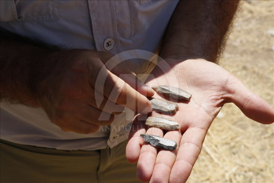 Şanlıurfa'da Göbeklitepe'den sonra Karahantepe heyecanı
