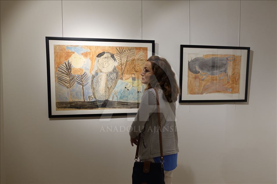 نخستین موزه آثار «هنر خام» ترکیه گشایش یافت

