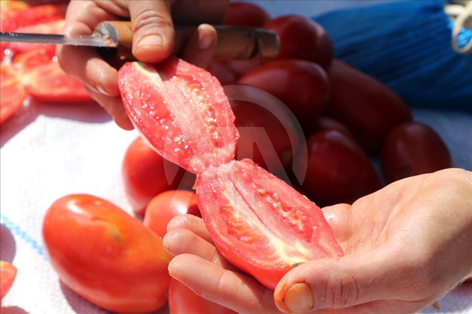 Kurutmaya bırakılan domateslerden ay yıldız