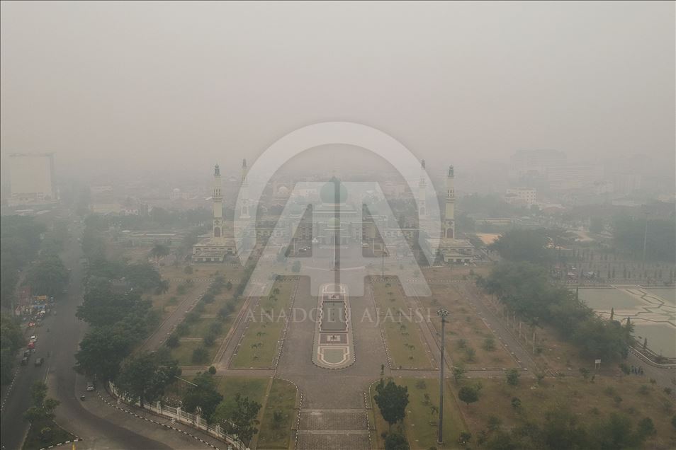Kabut asap akibat kebakaran hutan selimuti kota Pekabaru