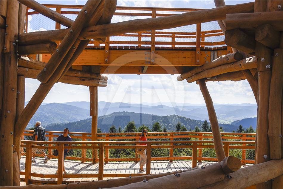 Poland's first wooden tree top observation tower