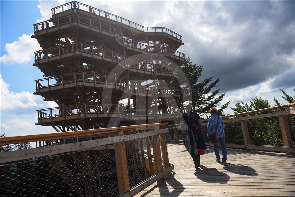 Poland's first wooden tree top observation tower