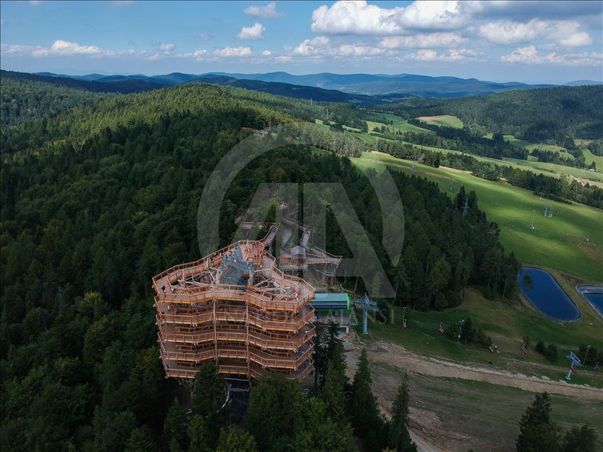 Poland's first wooden tree top observation tower