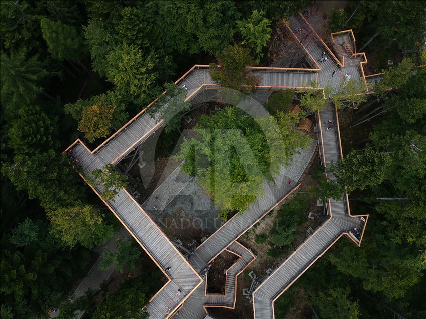 Poland's first wooden tree top observation tower