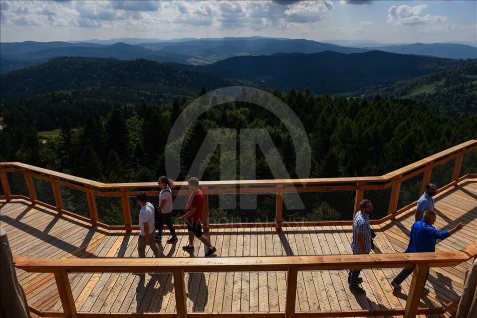 Poland's first wooden tree top observation tower