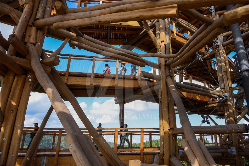 Poland's first wooden tree top observation tower