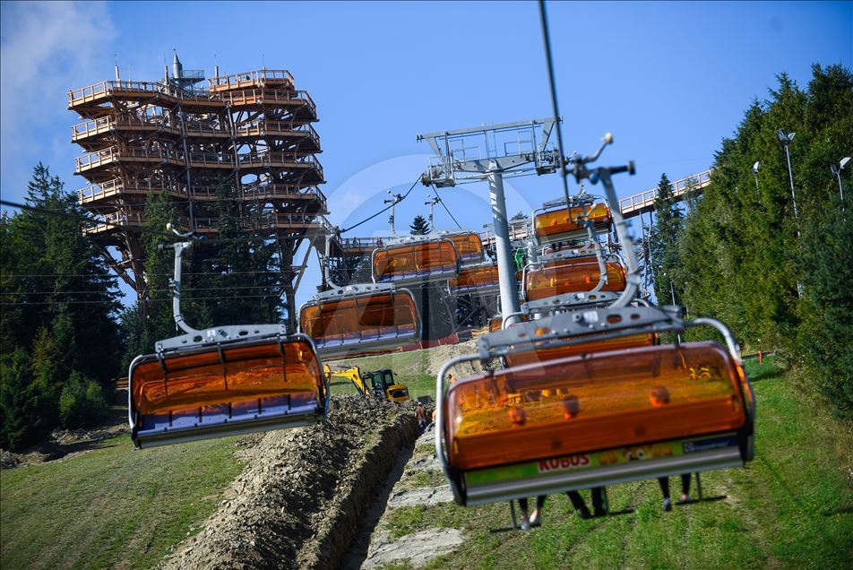 Poland's first wooden tree top observation tower