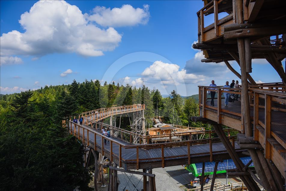 Poland's first wooden tree top observation tower