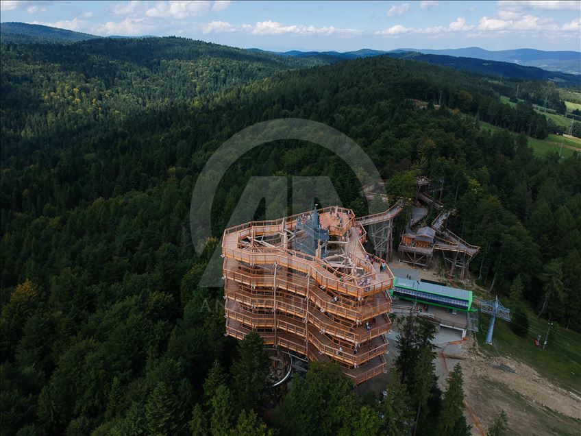 Poland's first wooden tree top observation tower