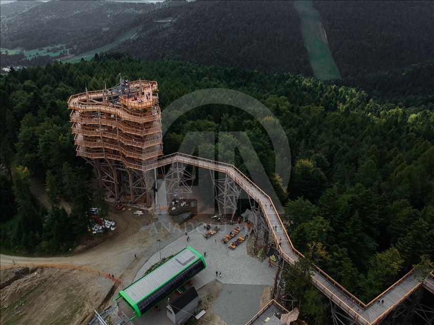 Poland's first wooden tree top observation tower
