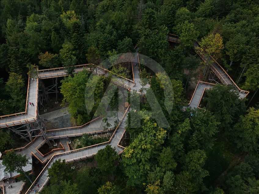 Poland's first wooden tree top observation tower