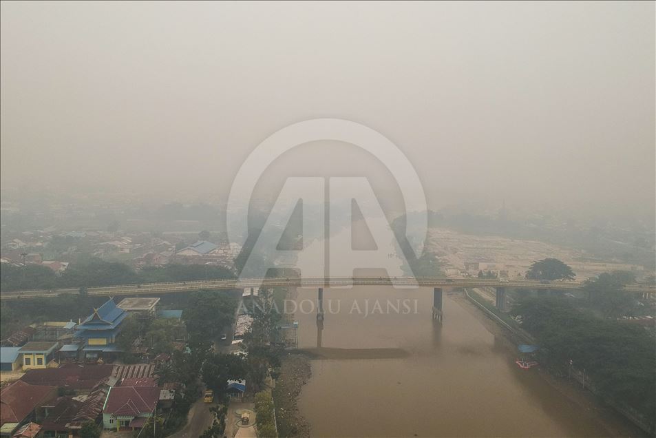 Kabut asap akibat kebakaran hutan selimuti kota Pekabaru