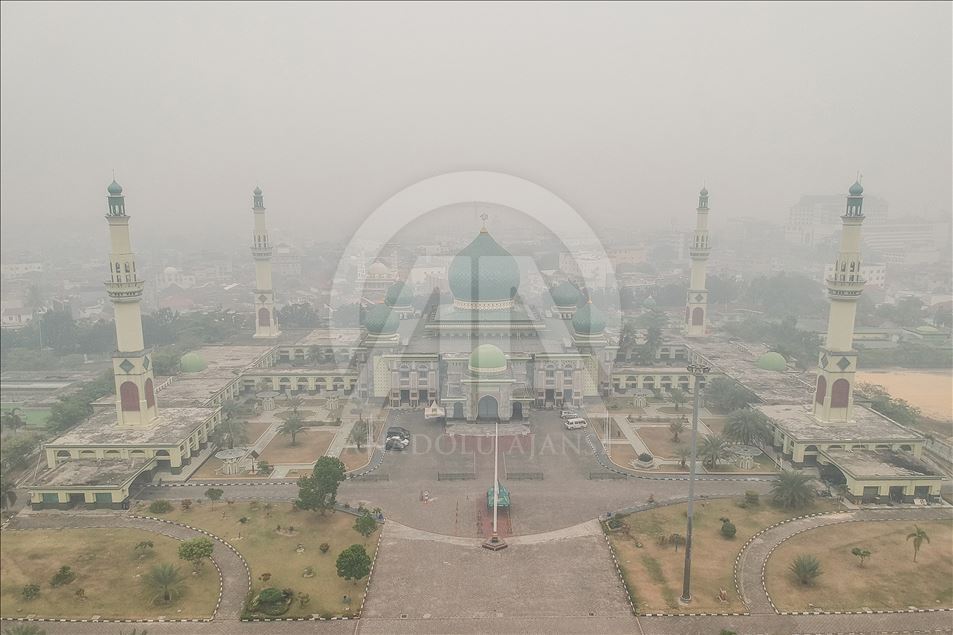 Kabut asap akibat kebakaran hutan selimuti kota Pekabaru