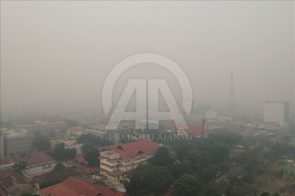 Kabut asap akibat kebakaran hutan selimuti kota Pekabaru