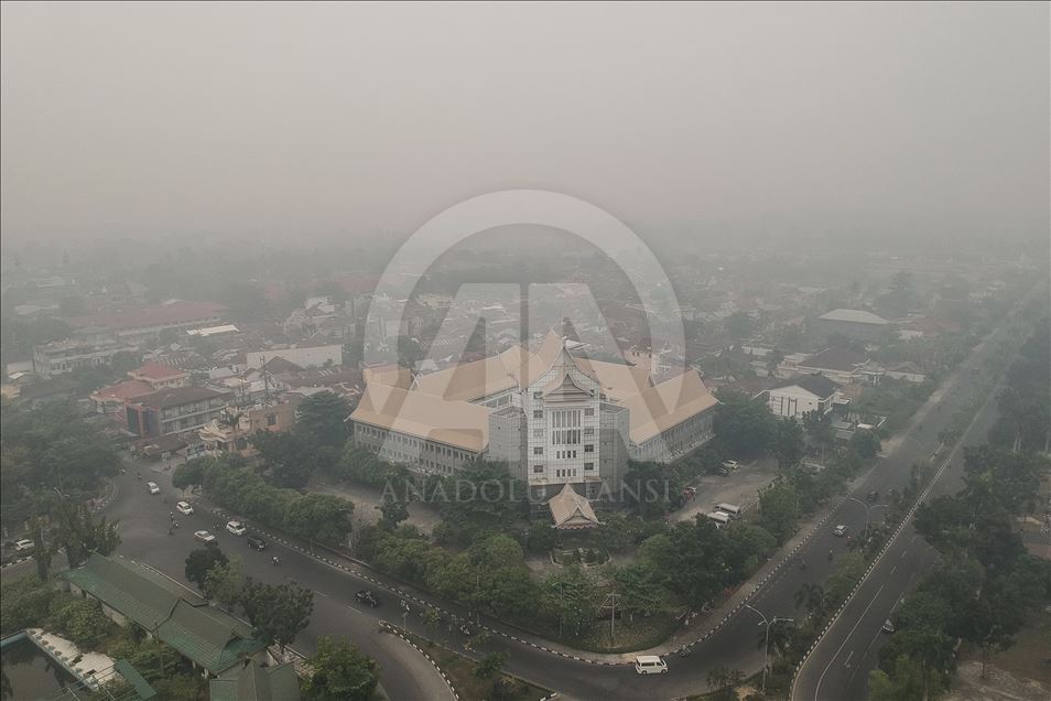 Kabut asap akibat kebakaran hutan selimuti kota Pekabaru