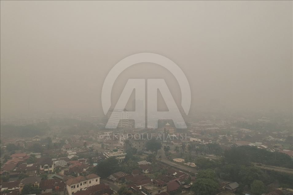 Kabut asap akibat kebakaran hutan selimuti kota Pekabaru