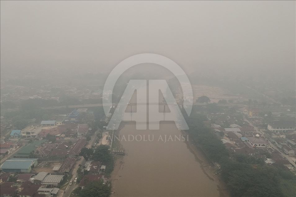 Kabut asap akibat kebakaran hutan selimuti kota Pekabaru