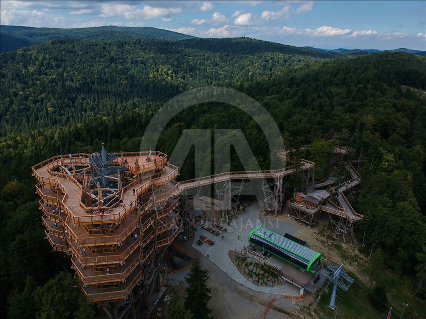 Poland's first wooden tree top observation tower