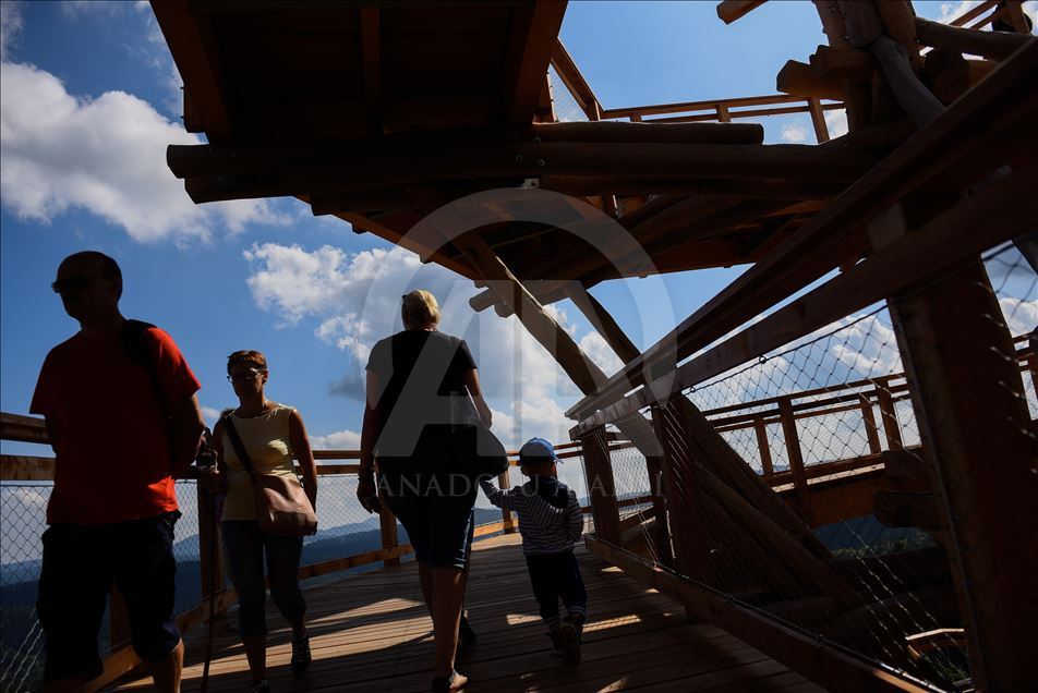 Poland's first wooden tree top observation tower
