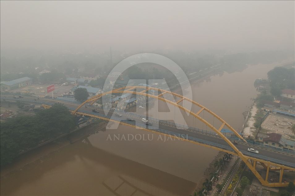 Kabut asap akibat kebakaran hutan selimuti kota Pekabaru