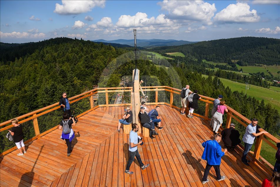 Poland's first wooden tree top observation tower
